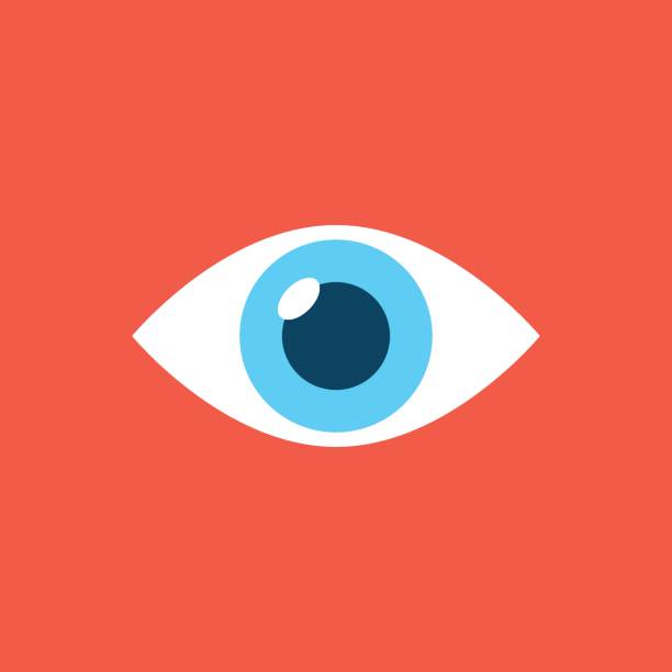 istock Human eye icon in flat style. Eyeball vector illustration on isolated background. Vision sign business concept. 2149617799
