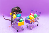 Happy Easter background. Easter eggs are colorful in a shopping basket on purple paper. Dumbo rat stands on its hind legs and leans on a basket. Holiday concept. Copy space for text.