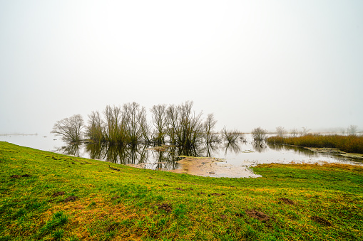 Landscape on the Elbe near Dömitz. Nature by the river on a cloudy day.