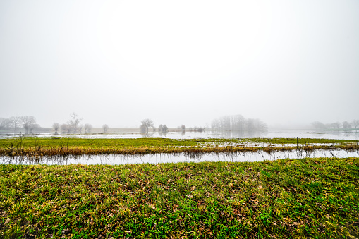 Panorama of flood plains of river Waal from dike near Brakel, Bommelerwaard, Gelderland, Netherlands