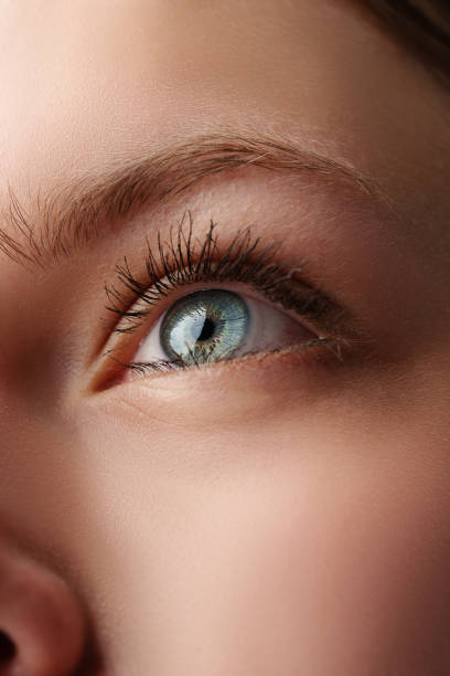 Close up of young female blue eye
