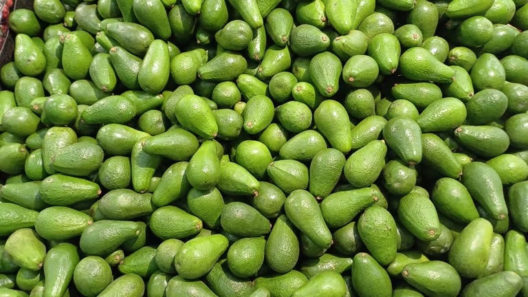Ripe green avocados at farmer's market