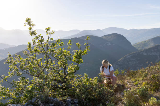 istock Mature hiker pauses on hilltop with mobile phone 2149624204