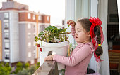 Girl picking strawberries growing in a balcony pot