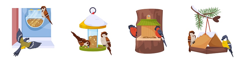 Feeders with birds. Sparrows, tits and bullfinches peck at grain. Different birdhouse shapes hanging containers and boxes with food. Birdie care. Animal shelters. Park birdwatching. Recent vector set