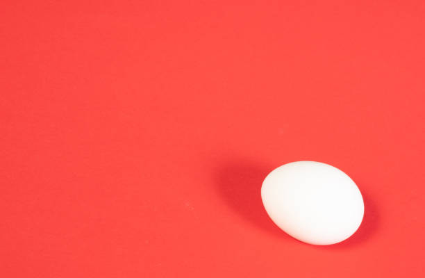 istock One white chicken egg on red background close-up 2149626089