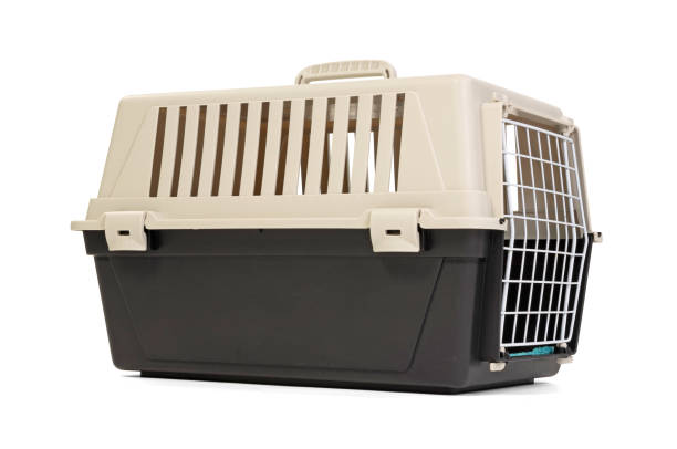 Pet travel plastic carrier isolated on white