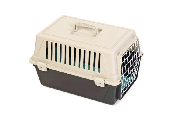 istock Pet travel plastic carrier isolated on white 2149626480