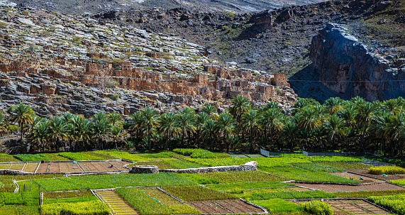 Abandoned village ruins of Riwaygh as-Safil, Valley Necrosis, Oman