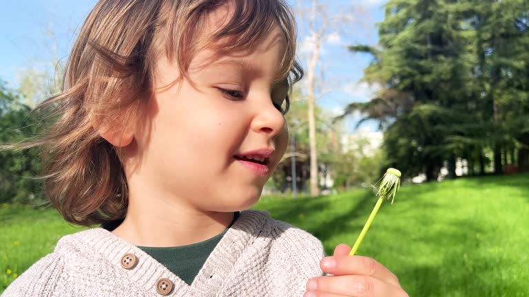 A little boy blowing dandelion