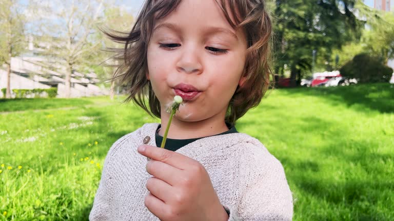 A little boy blowing dandelion