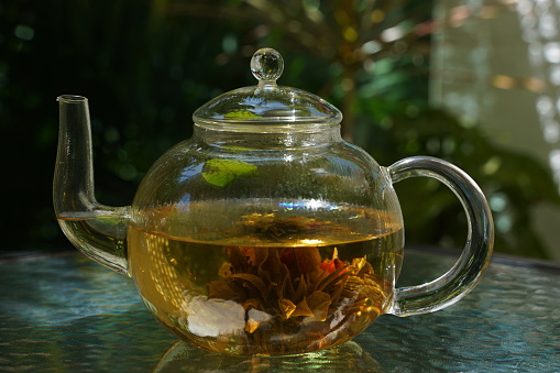 Teapot with blooming green tea in  the rays of the sun