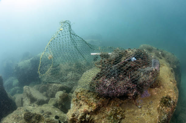 istock Abandoned fishing net and plastic garbage in the sea 2149628085