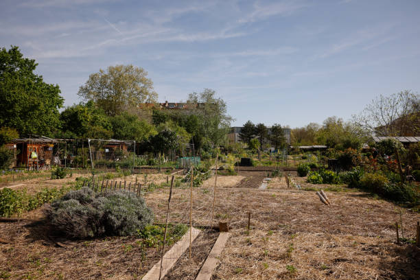 Jardin au mois d'avril