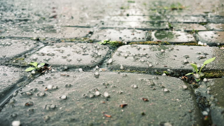 Hail falls on the cobblestones