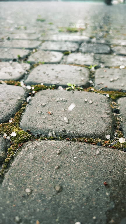 Hail falls on the cobblestones