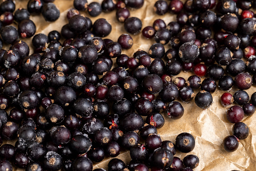 Frozen black currant berries close-up, fresh frozen currants for long-term storage