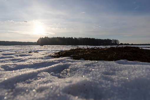 snow-covered plowed soil in the field in winter, part of the melted snow in the field in winter