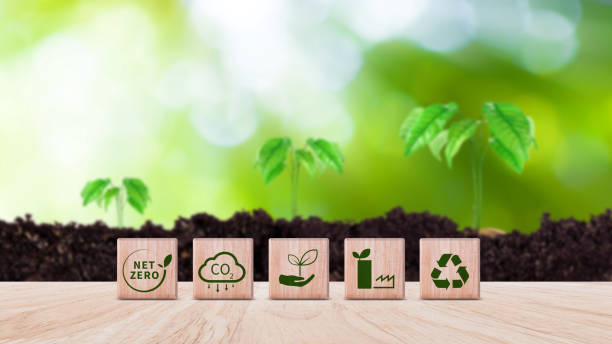 istock Net Zero and Carbon Neutral Concepts, Net zero greenhouse gas emissions target, Climate neutral long strategy. Wooden cubes with NetZero icon. 2149633105