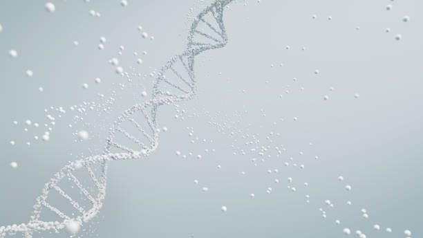 istock 3D rendering of a DNA molecule in white with particles against a light background, scientific purity and genetic analysis. 2149633698