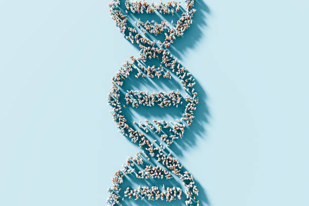 istock DNA double helix structure composed of human figures on a blue background with copy space. Public health and population genetics concept 2149633712