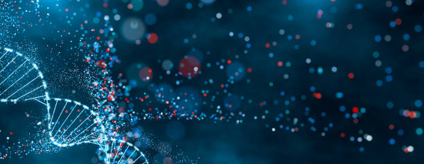 istock Sparkling DNA helix structure in blue and red. High-tech concept of genetic research, bioinformatics, and computational biology. Abstract visualization with bokeh effect and dynamic particles. 2149633713