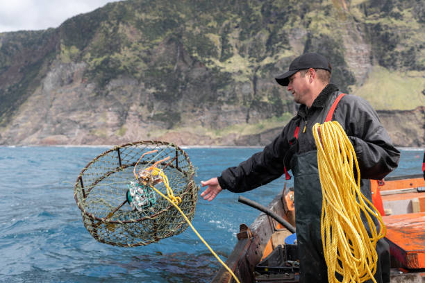 istock Fisherman collecting lobster fishing nets 2149634845