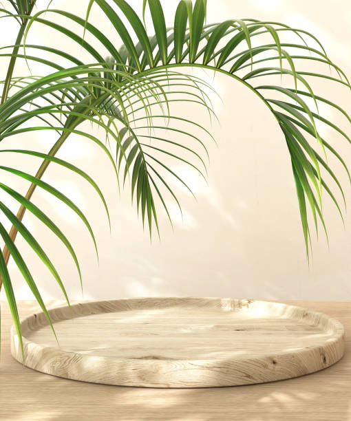 istock Minimal brown wooden podium on table counter, palm tree in sunlight, leaf shadow on cream white wall 2149637312