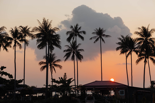 Sun sets amidst a warm-hued sky, casting silhouettes of palm trees and a house. Koh Samui Island, Thailand