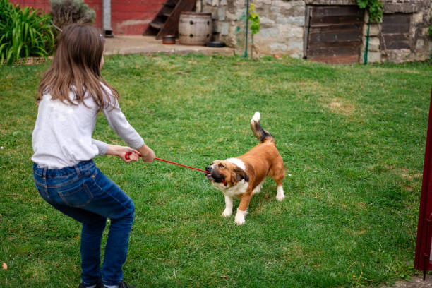 Little girl trains her dog while he bites the leash in the yard