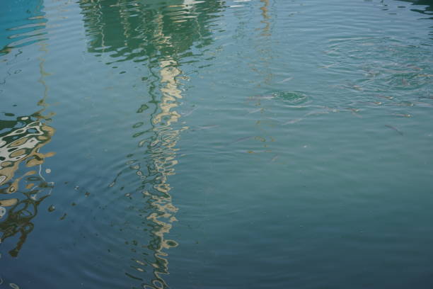 Harbour scenes