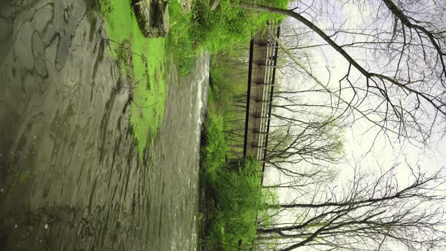 Bridge leading across a creek. View close to water. Vivid green trees and bushes.