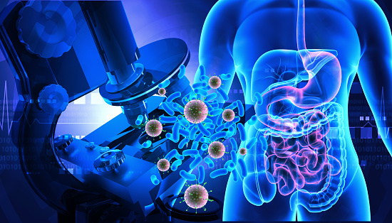 Human digestive system with virus bacteria infection. 3d illustration