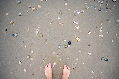 Photo taken directly above or looking down towards two bare feet standing amongst shells one sea shore.
