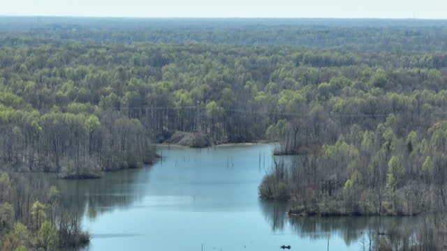 Wooded Lakeshore Of Glen Springs Lake In Tipton County, Tennessee, USA. Aerial Drone Shot