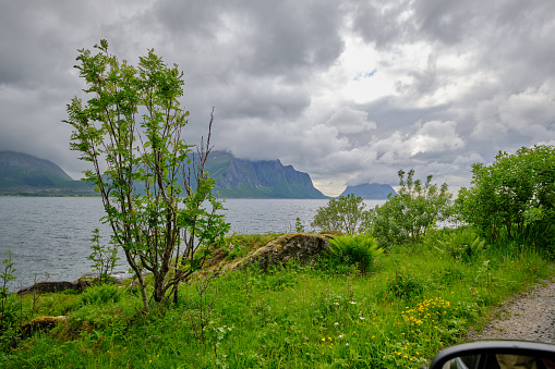 Nature photos in Norway - in summertime. RoAD