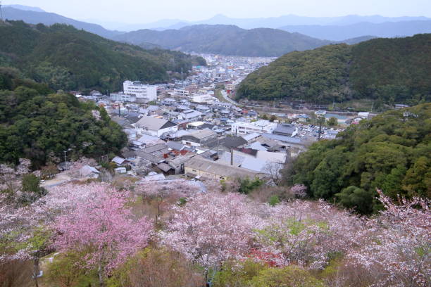 istock Cherry blossoms and Sakawa townscape (From Makino Park, Sakawa Town, Kochi Prefecture) 2149638584