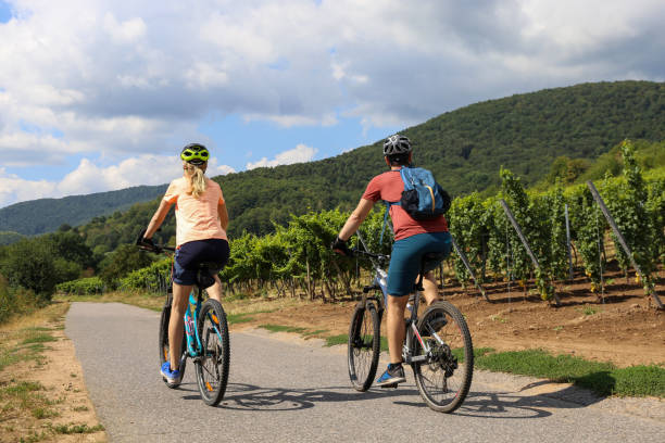 istock Young couple on a bicycle tour in the vineyards 2149640177