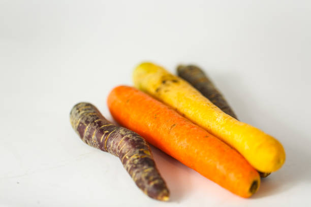 Ancient carrot purple and yellow on a white background,