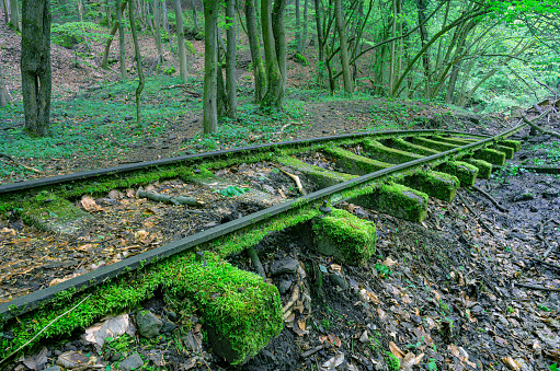 Abandoned narrow gauge railtrack in the Börzsöny mountains, Hungary, Europe