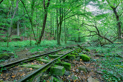 Abandoned narrow gauge railtrack in the Börzsöny mountains, Hungary, Europe