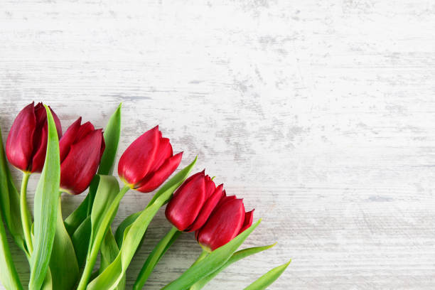istock Beautiful Tulips on Wooden Background 2149647819