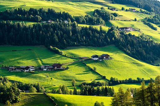 Rolling green hills adorned with scattered houses are highlighted by the sunlight, casting shadows that accentuate the terrain’s contours. The lush forests in the background contrast beautifully with the clear blue sky. Italian Alps.