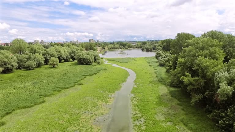 Drone captures skyline of city behind green woods and swamp in Serbia