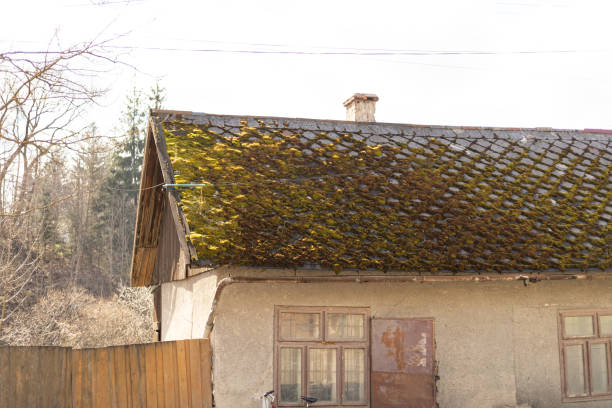 istock moss on the roof of an old building 2149648758