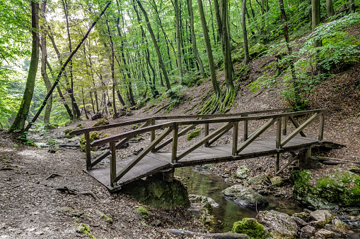 Hiking trail in the Pilis Mountains, Hungary, Europe