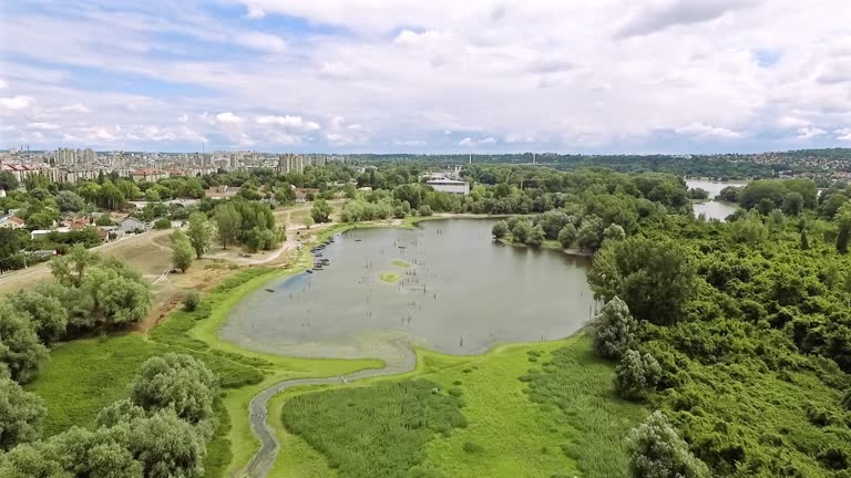 Drone flies over a large green swamp towards city of Novi Sad in Serbia