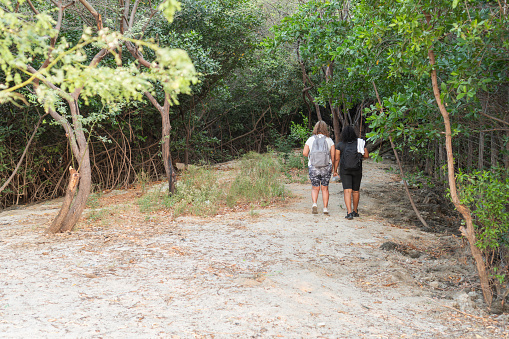 Two People Walking on a Secluded Forest Path