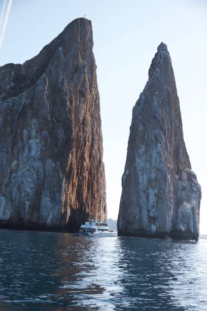 istock Diving in the Galapagos islands 2149650330