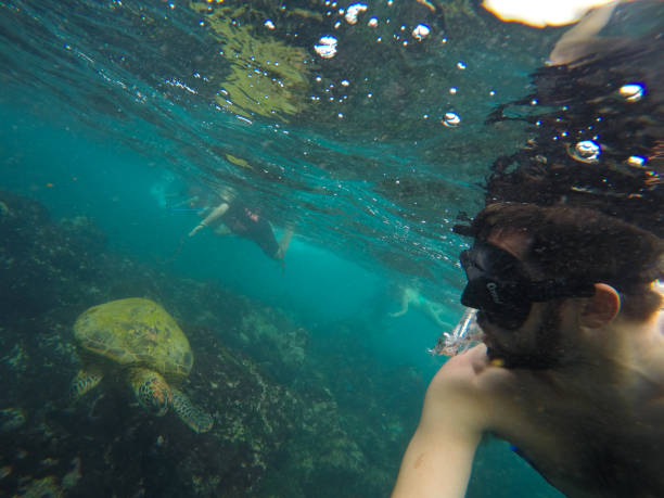 Diving in the Galapagos islands